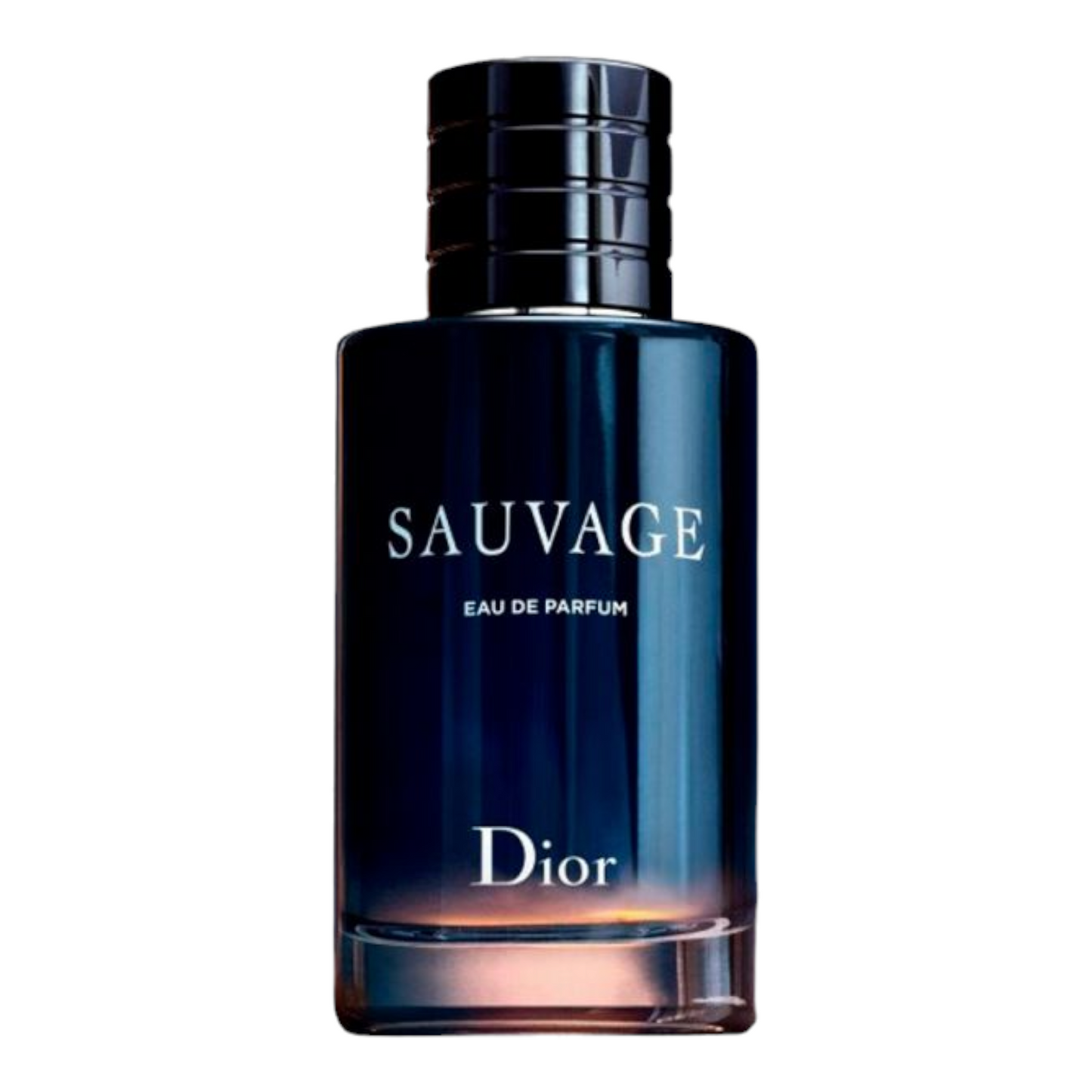 Dior Sauvage - Eau de Toilette (100 ml)